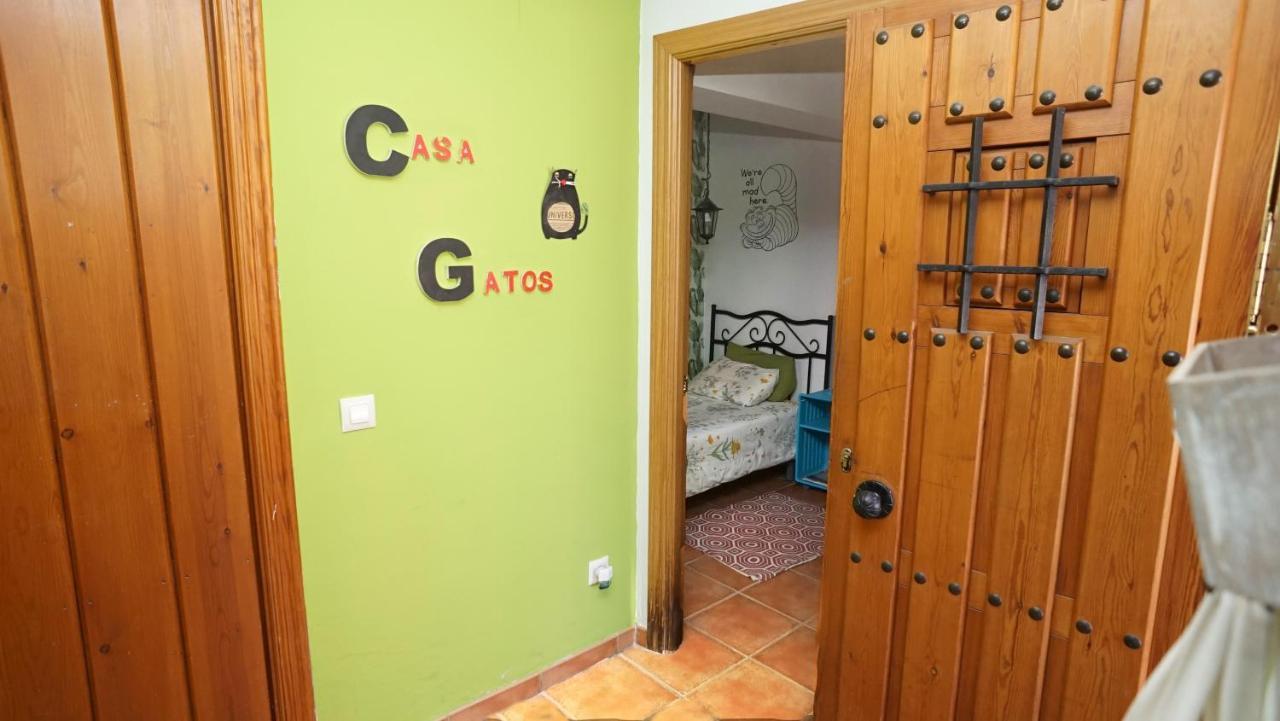 톨레도 Casa Gatos 아파트 외부 사진
