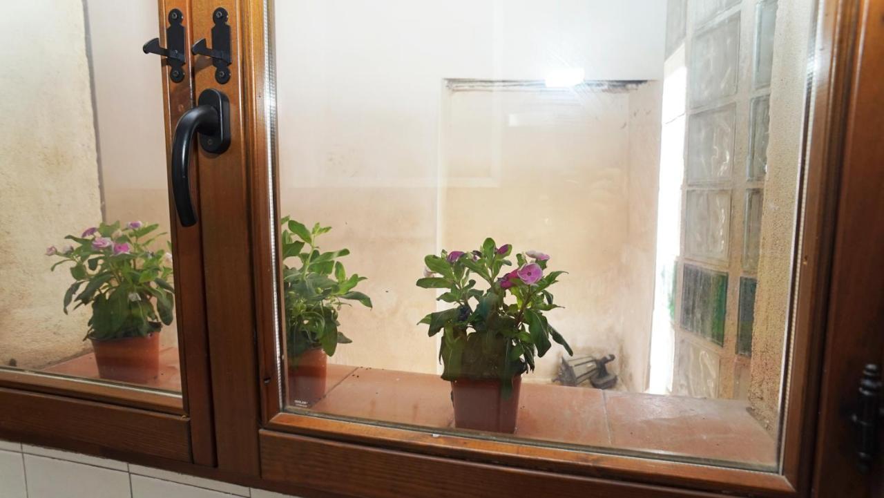 톨레도 Casa Gatos 아파트 외부 사진