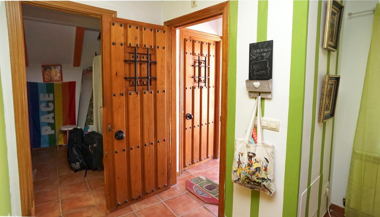 톨레도 Casa Gatos 아파트 외부 사진
